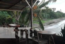 Destinos naturales para vacacionar en Ometepe Destinos naturales para vacacionar en Ometepe