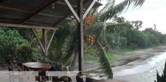 Destinos naturales para vacacionar en Ometepe