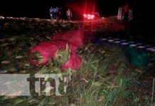 Conductor de camión de mazorcas muere tras volcarse en carretera Jinotega-Managua Foto: Conductor de camión de mazorcas muere tras volcarse en carretera Jinotega-Managua / TN8