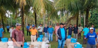 Foto: Bonos de pesca para familias afectadas por los huracanes Eta e Iota en Bilwi / TN8