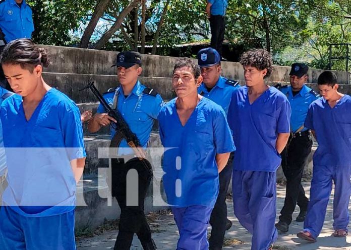 Foto: Resultados de la Policía Nacional: /TN8