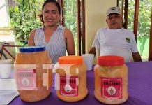 Éxito rotundo en el primer festival ¡Mi Departamento Emprende! en Ocotal Foto: Éxito rotundo en el primer festival ¡Mi Departamento Emprende! en Ocotal/TN8