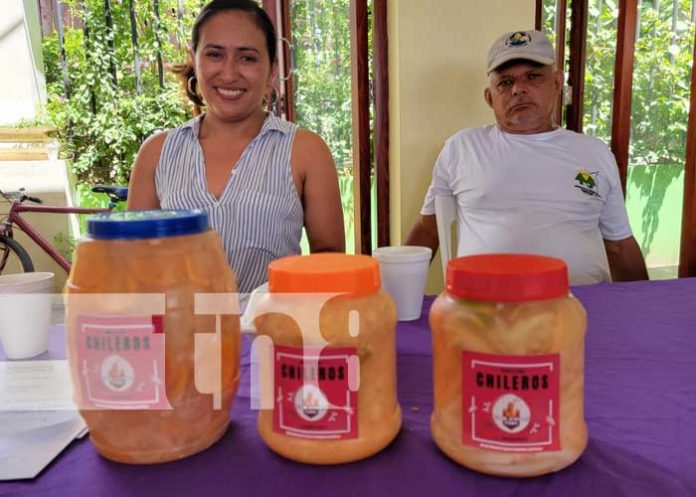 Foto: Éxito rotundo en el primer festival ¡Mi Departamento Emprende! en Ocotal/TN8