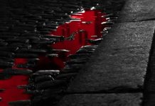 Foto: En un charco de sangre terminó una mujer tras ser arrollada en Granada / TN8