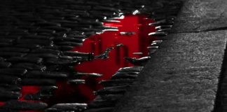 Foto: En un charco de sangre terminó una mujer tras ser arrollada en Granada / TN8