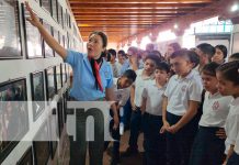 Conoce dos tesoros culturales de la ciudad de León Nicaragua Foto: Conoce dos tesoros culturales de la ciudad de León Nicaragua /TN8