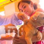 MINSA celebra con éxitos la finalización de vacunación antirrábica canina