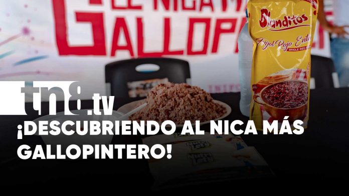 Crónica TN8 ya encontró en el mercado Mayoreo al Nica Más Gallopintero /TN8