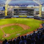 rays, tampa, bay, mlb,