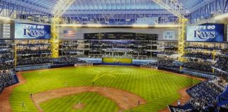 rays, tampa, bay, mlb,