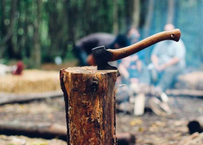 Abuela es decapitada por su nieto en Alemania