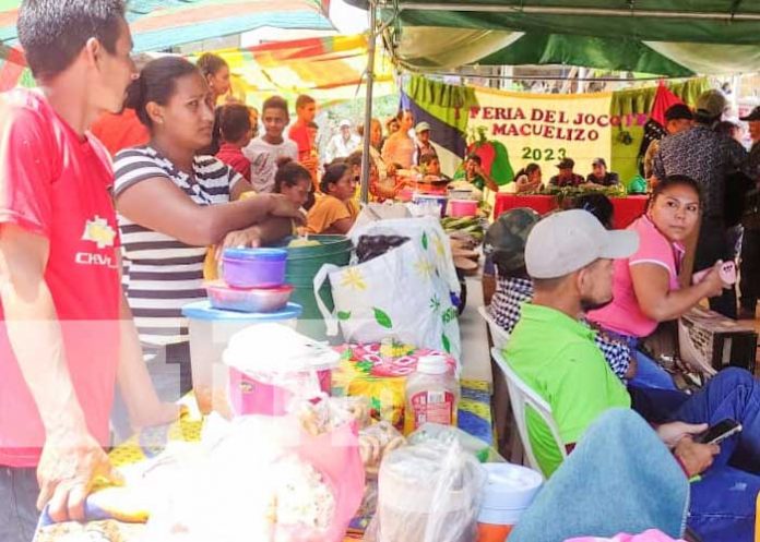 Feria dedicada al Jocote en Nueva Segovia