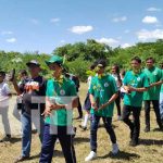 Nicaragua más verde: Nuevas especies para arboretum de Tipitapa Foto: Nuevo arboretum en Tipitapa, para una Nicaragua más verde / TN8