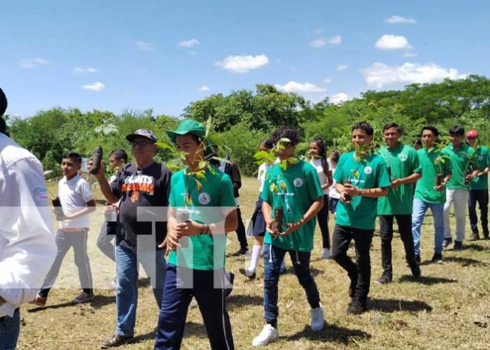 arbore-2 Foto: Nuevo arboretum en Tipitapa, para una Nicaragua más verde / TN8