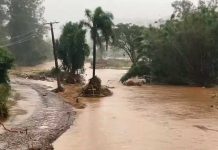 ¡Tragedia devastadora! Ciclón deja 21 muertos en el sur de Brasil Un ciclón deja 21 muertos en el sur de Brasil