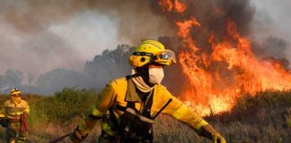 ONU alerta "olas de calor generan contaminantes"