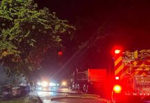«Nica» muere carbonizado en Costa Rica: Conductor lo dejó a su suerte Trágico accidente en Guanacaste, Costa Rica