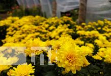 Foto: Catarina, el jardín de Nicaragua / TN8