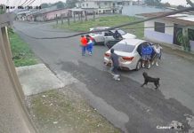 «Desalmados» secuestran a una niña en Ecuador mientras se dirigía a la escuela Hombres armados secuestran a una niña en Ecuador