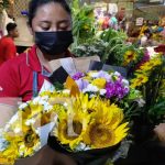 Foto: La tendencia de las flores amarillas llega a mercados de Nicaragua / TN8
