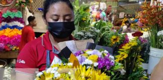 Foto: La tendencia de las flores amarillas llega a mercados de Nicaragua / TN8