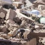 Devastadoras imágenes: Así luce Marruecos tras el potente terremoto ¿Cómo está la situación en Marruecos hoy?
