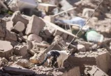 ¿Cómo está la situación en Marruecos hoy? 