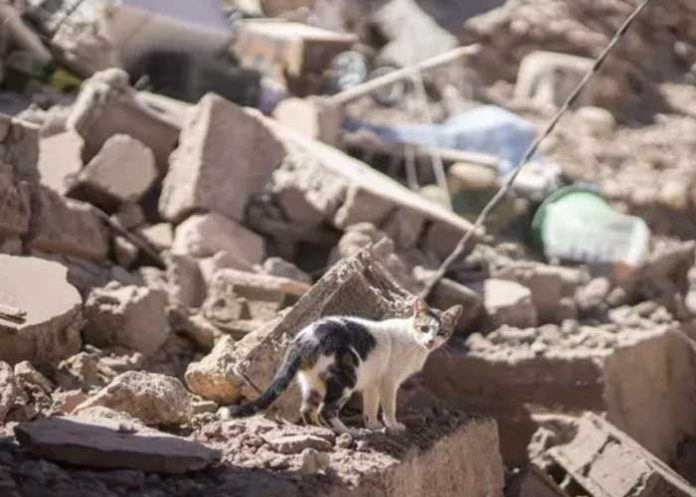 fotos1 ¿Cómo está la situación en Marruecos hoy?