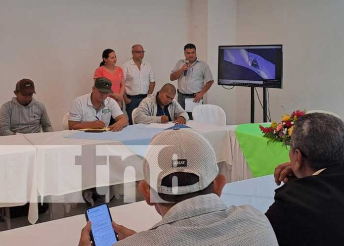 ganad-1 Foto: Foro sobre ganadería regenerativa en Nicaragua / TN8