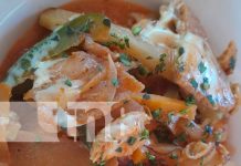 Foto: Gastronomía de calidad y master class en Granada / TN8