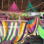 Entre hamacas, artesanía y bambú: Rueda de negocios en Granada Foto: Rueda de negocios con el MEFCCA en Granada / TN8