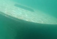 Lo más destacado de este viernes 22 de septiembre Foto: Barco hundido en la Laguna de Xiloá