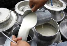Producción de leche muestra excelentes resultados en el segundo cuatrimestre