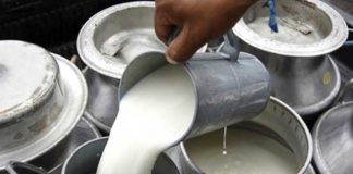Producción de leche muestra excelentes resultados en el segundo cuatrimestre