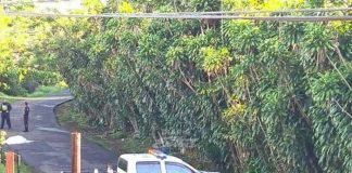 Nica muere acribillada a balazos en Costa Rica