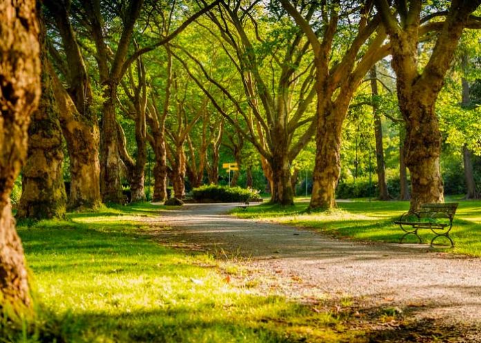 Cachan a una pareja haciendo el “delicioso”