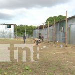 Foto: Construcción de tramos de pólvora en el sector de Tiscapa / TN8