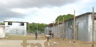 Foto: Construcción de tramos de pólvora en el sector de Tiscapa / TN8