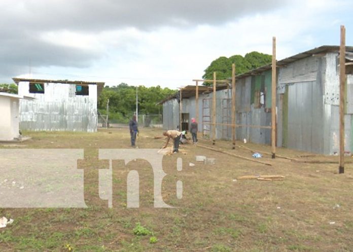 rapol-3 Foto: Construcción de tramos de pólvora en el sector de Tiscapa / TN8