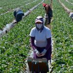 Tasa de ocupación en Nicaragua alcanza el 97.3 % en marzo, según INIDE INIDE publica los resultados de la Encuesta de Empleo Mensual de agosto 2023