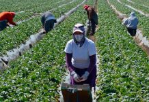 INIDE publica los resuFoto: INIDE reporta leve caída en la ocupación nacional en enero 2026 /Cortesíaltados de la Encuesta de Empleo Mensual de agosto 2023
