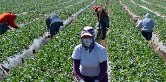 INIDE publica los resuFoto: INIDE reporta leve caída en la ocupación nacional en enero 2026 /Cortesíaltados de la Encuesta de Empleo Mensual de agosto 2023