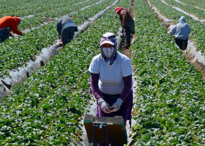 trabajo INIDE publica los resultados de la Encuesta de Empleo Mensual de agosto 2023