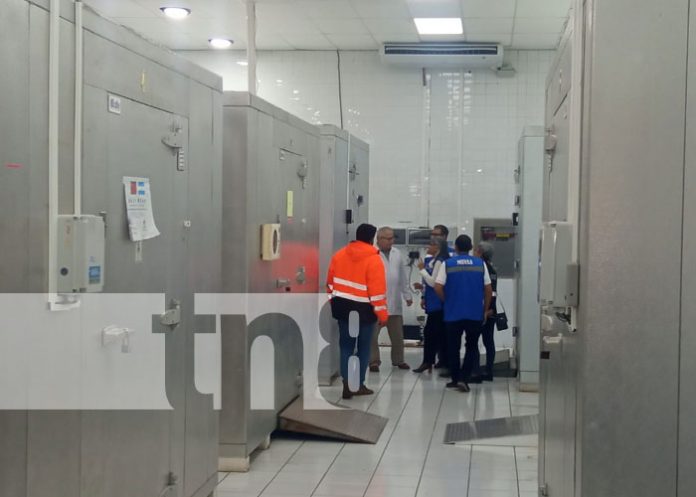 vacu-alm-2 Foto: Moderno sistema para vacunas en Nicaragua / TN8