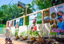 MAG e INTA instalan oficinas en Bilwi para productores Foto: Bilwi se fortalece en producción /TN8