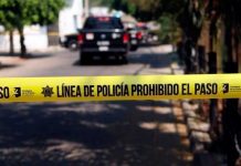 Foto: Desarrollo Impactante: Encuentran muertos a sospechosos de asesinato a médicos en Brasil / Cortesía