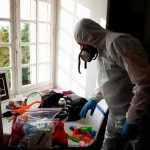 Pánico en Francia: Plaga de chinches provoca el cierre de 7 escuelas Foto: Pánico en Francia: Plaga de chinches provoca el cierre de 7 escuelas / Cortesía