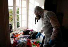 Pánico en Francia: Plaga de chinches provoca el cierre de 7 escuelas Foto: Pánico en Francia: Plaga de chinches provoca el cierre de 7 escuelas / Cortesía