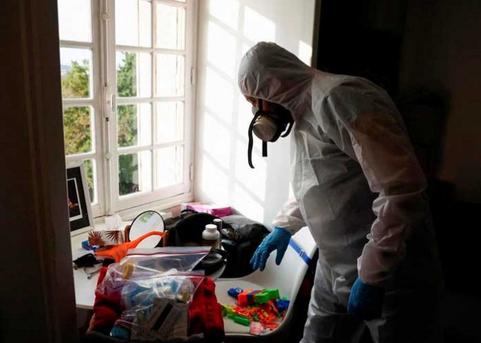 Foto: Pánico en Francia: Plaga de chinches provoca el cierre de 7 escuelas / Cortesía