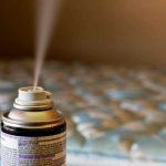 Emergencia por Plaga de Chinches en Escuelas Francesas Foto: Emergencia por Plaga de Chinches en Escuelas Francesas / Cortesía